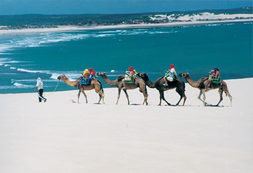praia-genipabu-natal.jpg