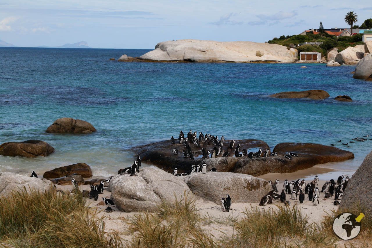 praias-em-cape-town-19