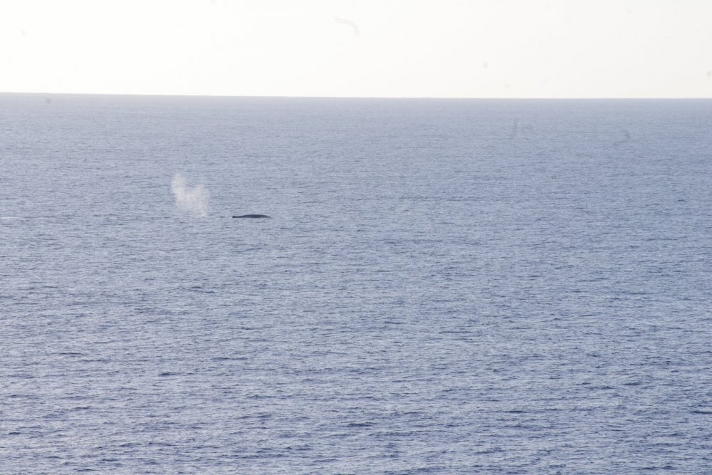 Fotos Miguel - viagem Costa Serena - abril 2013 (4).JPG