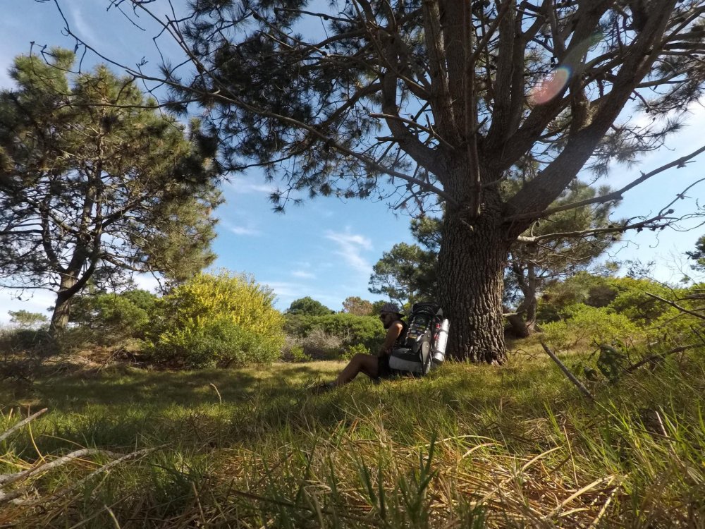 GPTempDownload (1).jpg