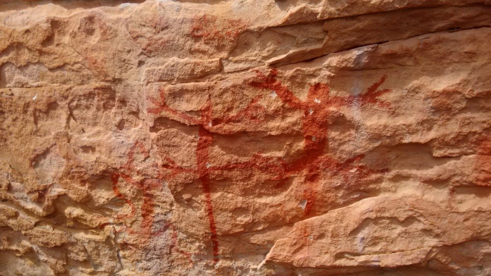 viagem chapada 174.jpg