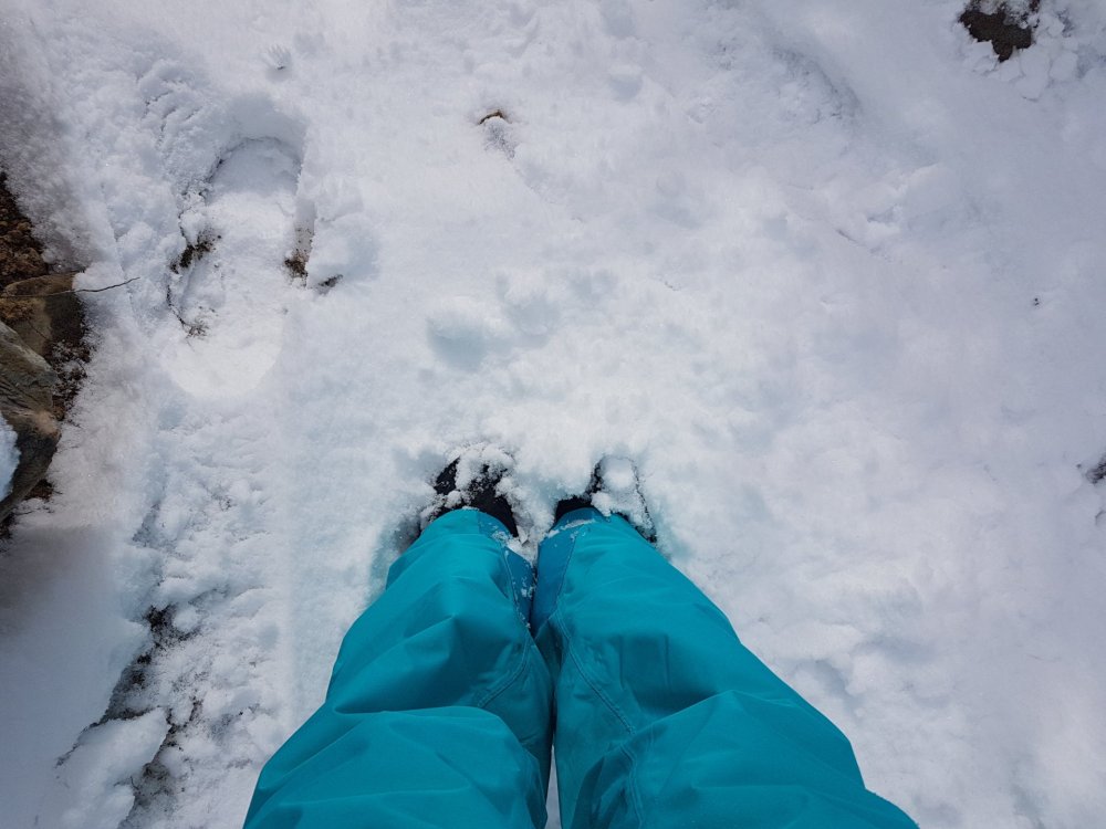 Sendero Fitz Roy (1).jpg