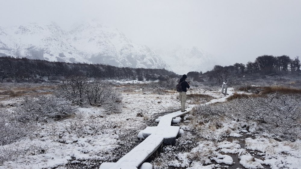 Sendero Fitz Roy (5).jpg