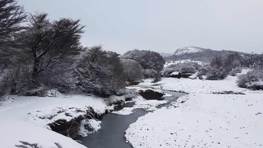 Sendero Fitz Roy (6).jpg