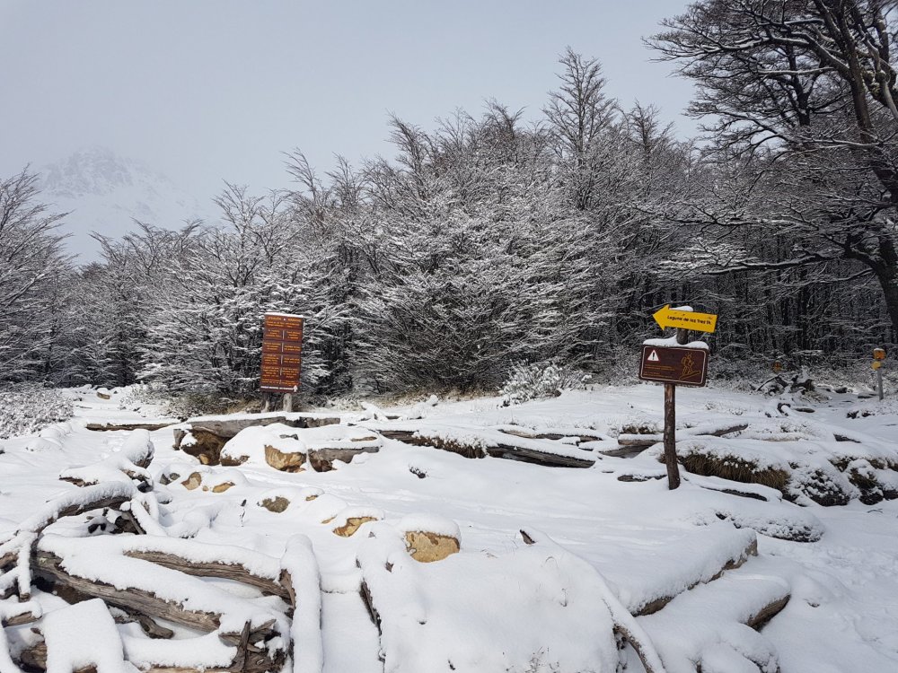 Sendero Fitz Roy (7).jpg