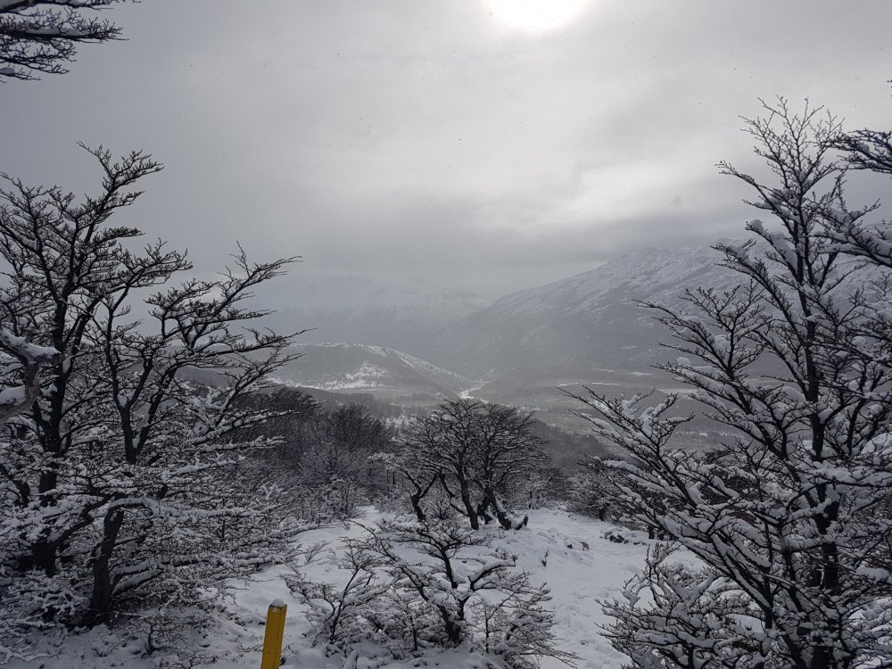 Sendero Fitz Roy (8).jpg