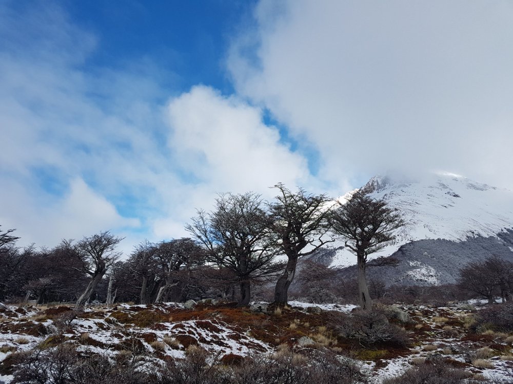 Sendero Fitz Roy (11).jpg
