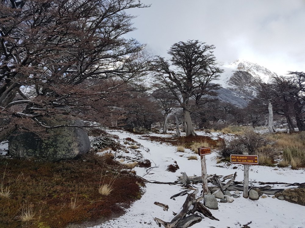 Sendero Fitz Roy (12).jpg