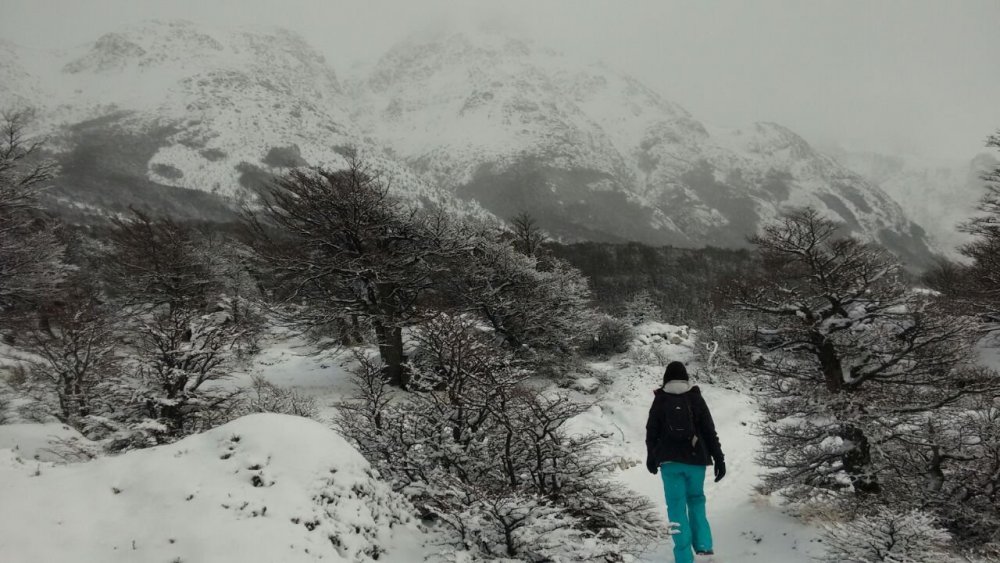 Sendero Fitz Roy.jpg