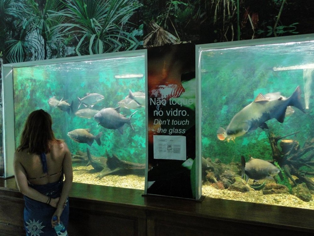 Zoologico Exército (18).JPG