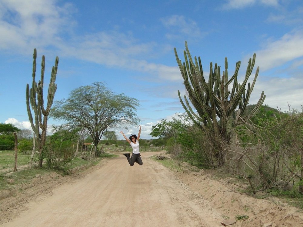 Estradas agreste (1).JPG