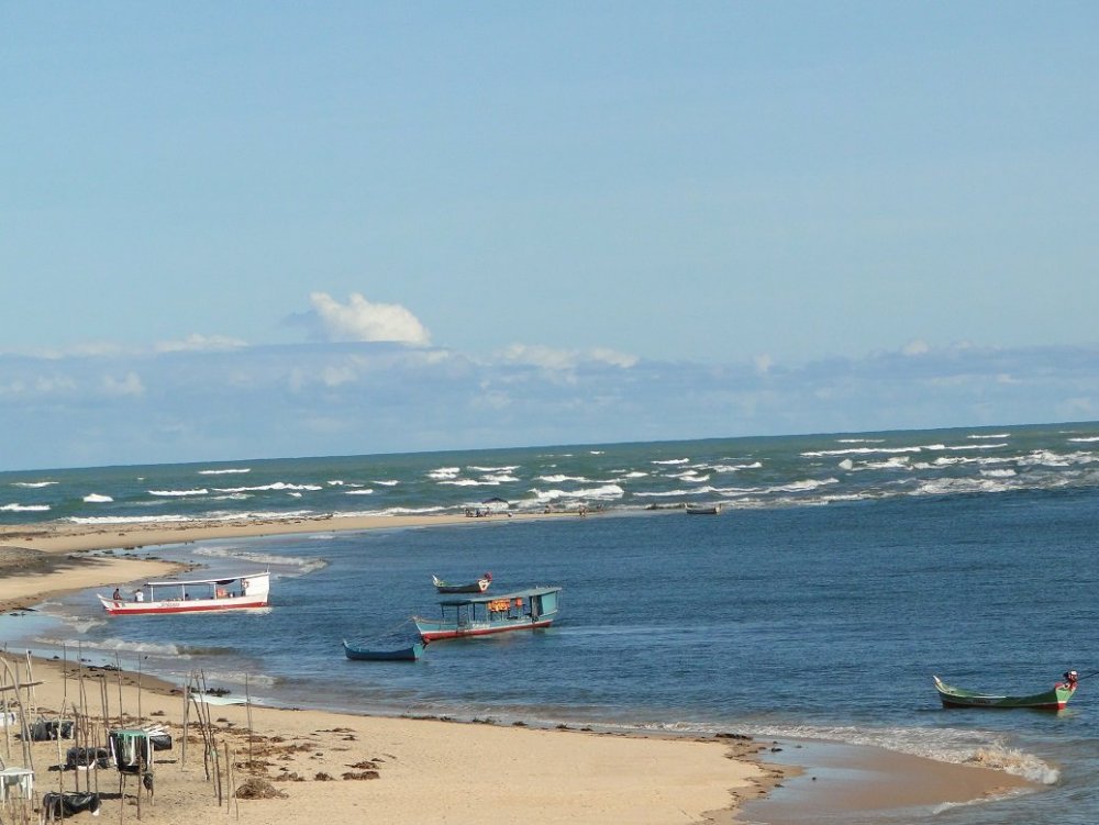 Foz do Rio São Francisco (110).JPG