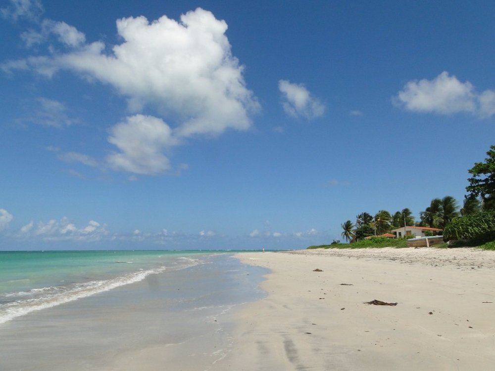 Praia de Carneiros (2).JPG