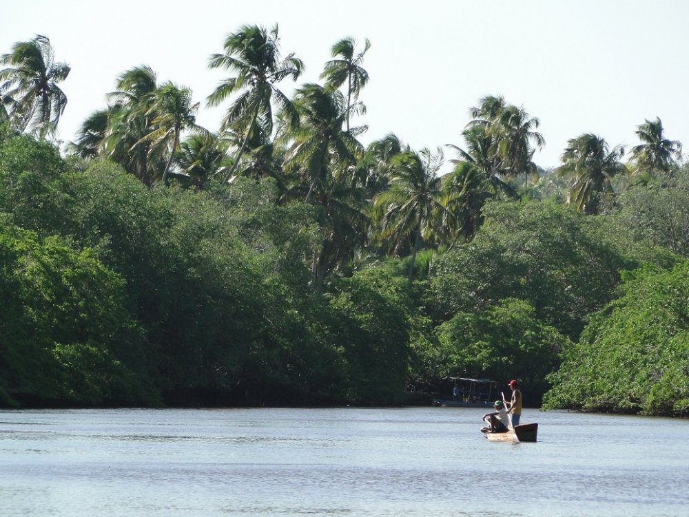 Projeto Peixe boi marinho (25).JPG
