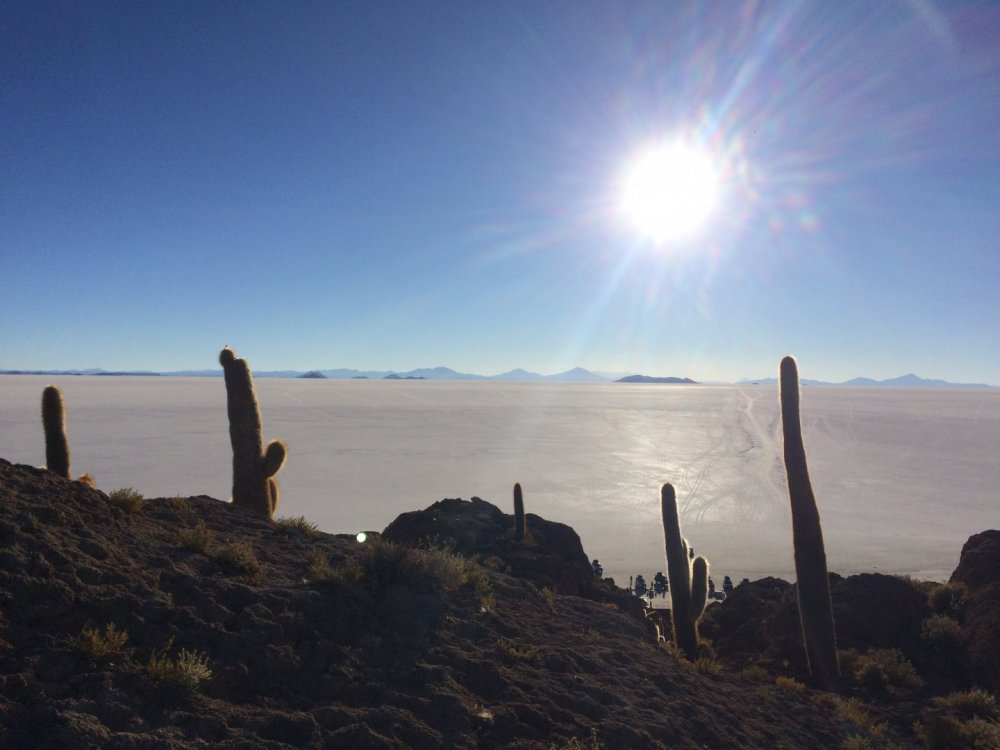 Isla del Pescado do topo