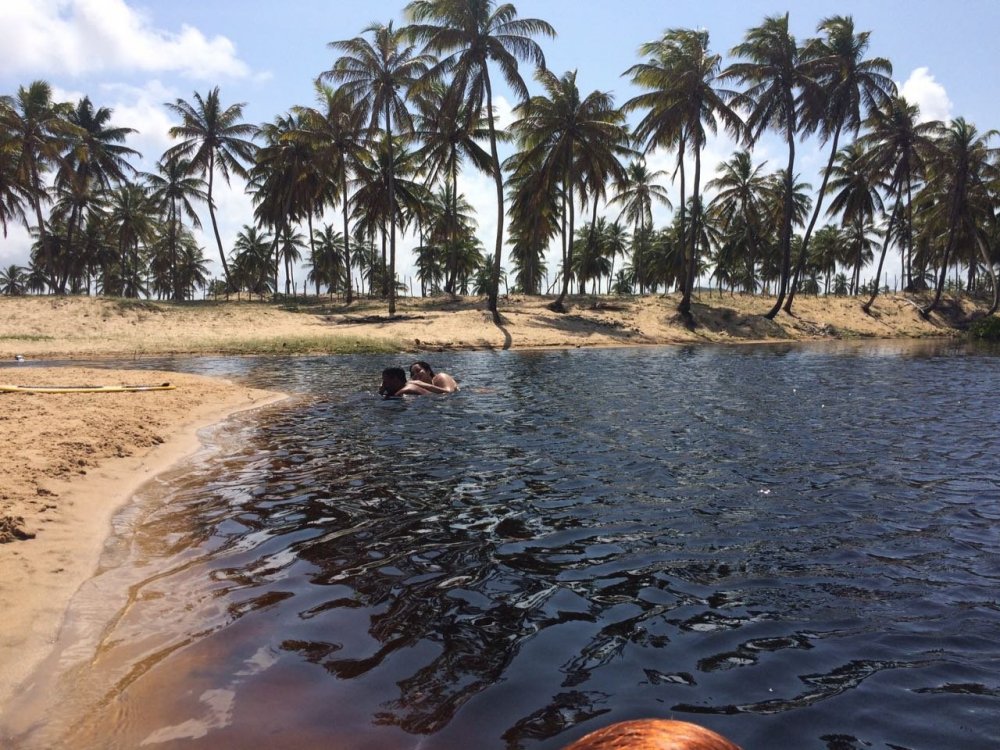 WhatsApp Image 2017-10-01 at 21.47.15 (1).jpeg