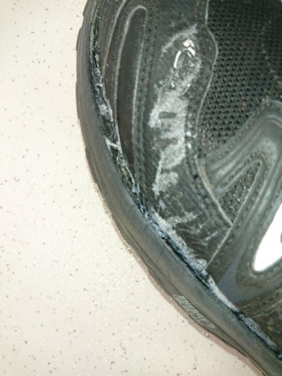 WhatsApp Image 2017-10-24 at 17.00.49.jpeg