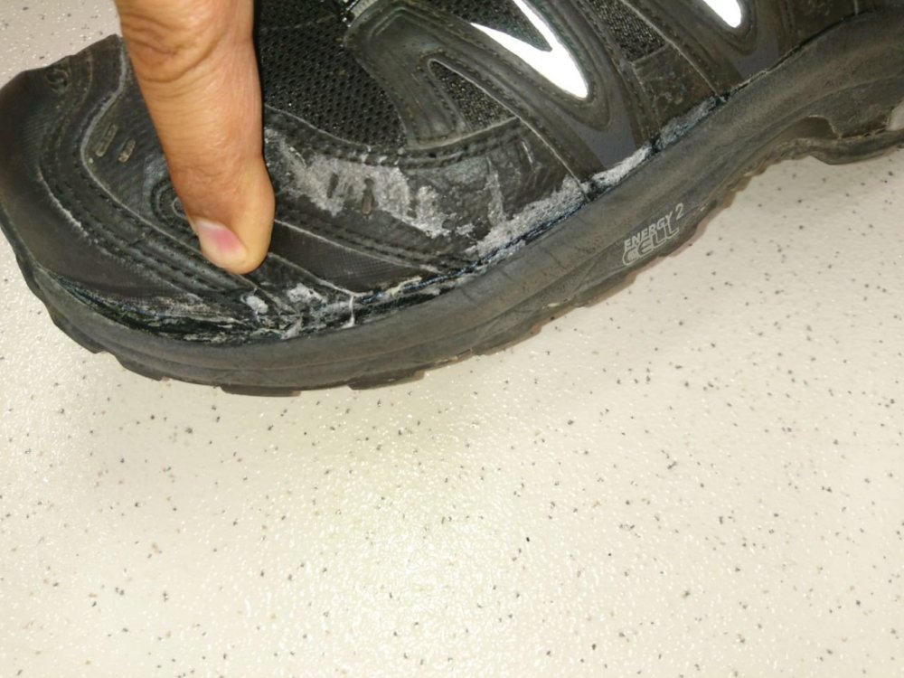 WhatsApp Image 2017-10-24 at 17.00.48.jpeg