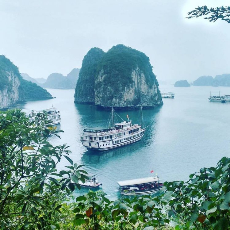 halong.thumb.jpg.5d0570705fe887ab5bfd47d161a74473.jpg