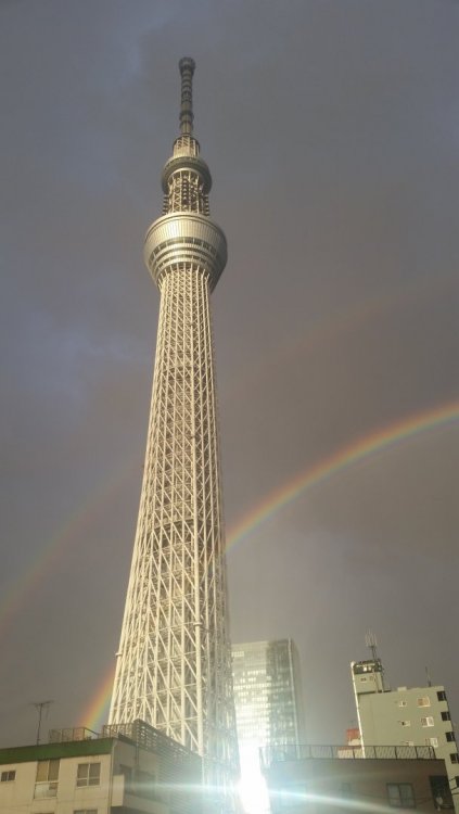 Tokyo Tower.jpg