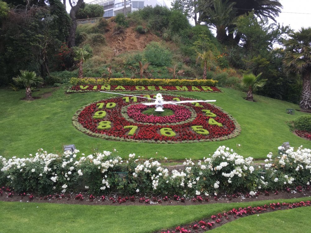 RELÓGIO FLORES 12-11-2017.jpg