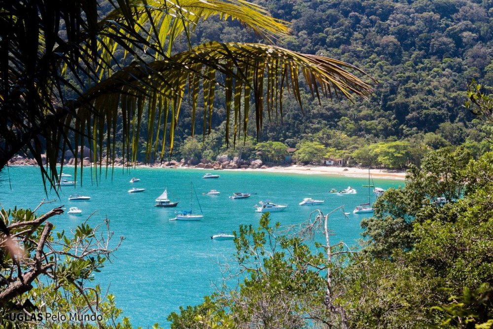 WhatsApp Image 2017-11-22 at 09.33.54 (1).jpeg