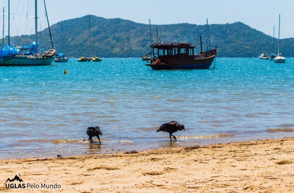 WhatsApp Image 2017-11-22 at 09.33.54 (6).jpeg