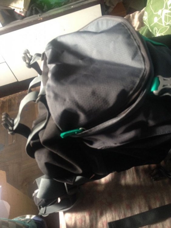 WhatsApp Image 2017-11-27 at 15.44.30.jpeg