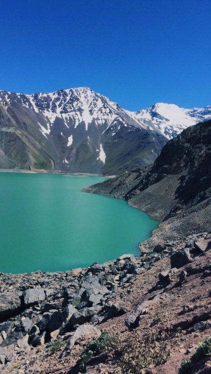 WhatsApp Image 2017-11-28 at 12.49.57 (2).jpeg