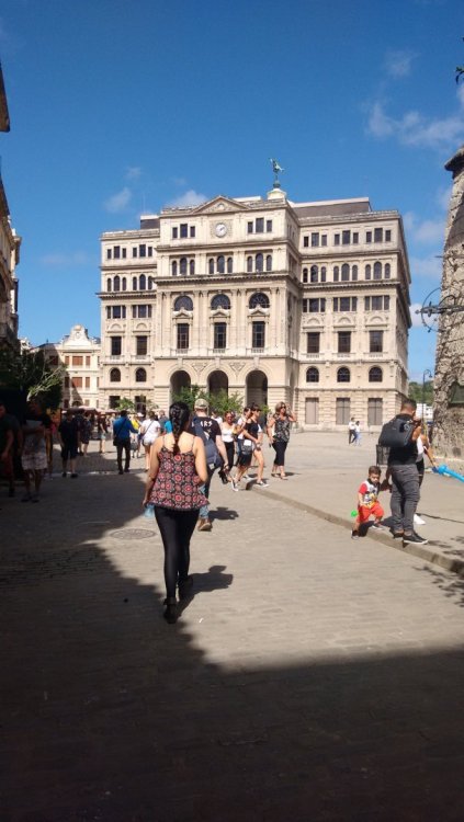 5a273ed41739f_havana(2).jpg.e6c2c11cacd8ae66acf854b51b82cffd.jpg