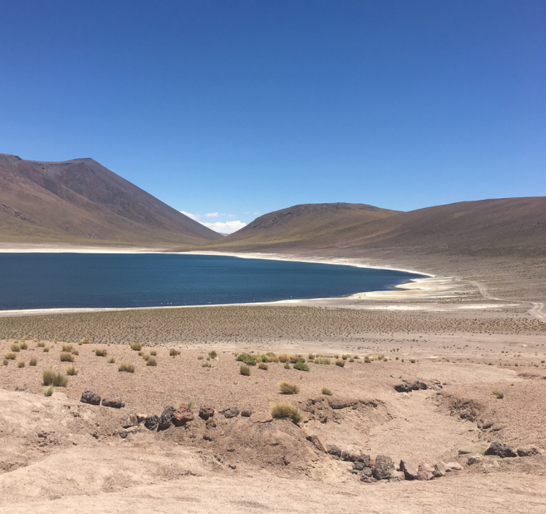 Captura de Tela 2017-12-30 às 22.03.46.png