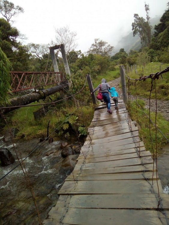 Caminho para o Vale del Cocora.jpg