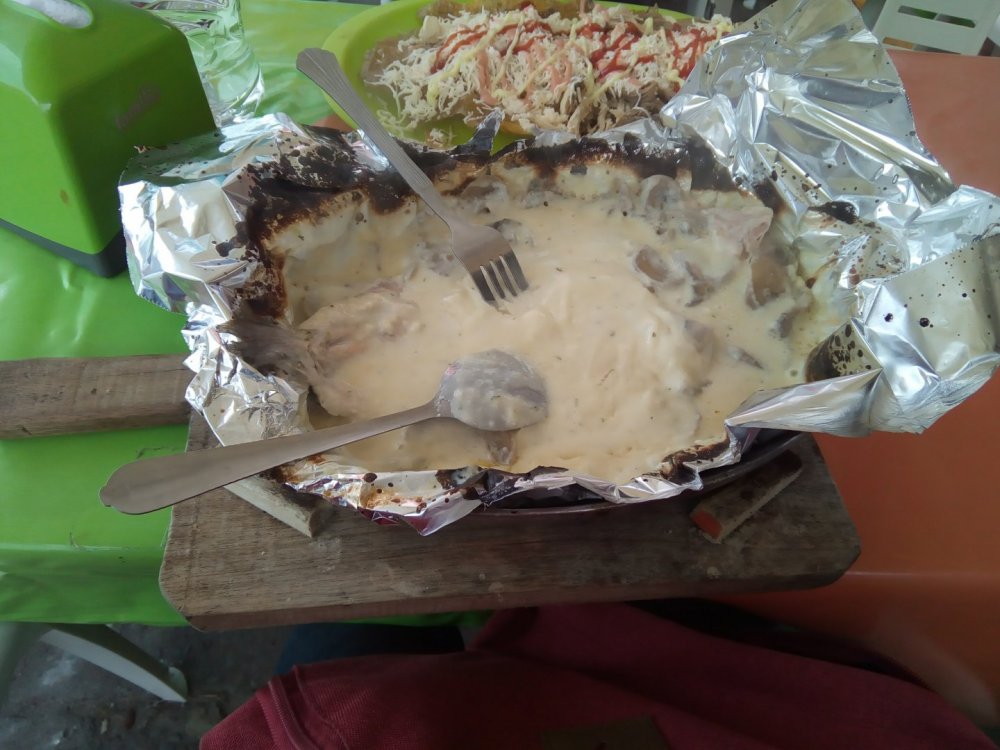 Truta com Cogumelos cremosa.jpg