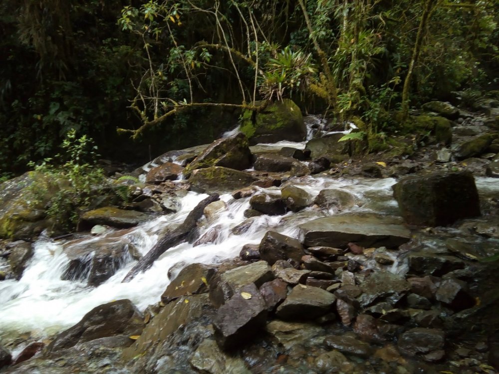 Quebrada no final da trilha.jpg