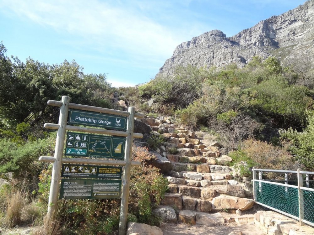 subi por essa trilha