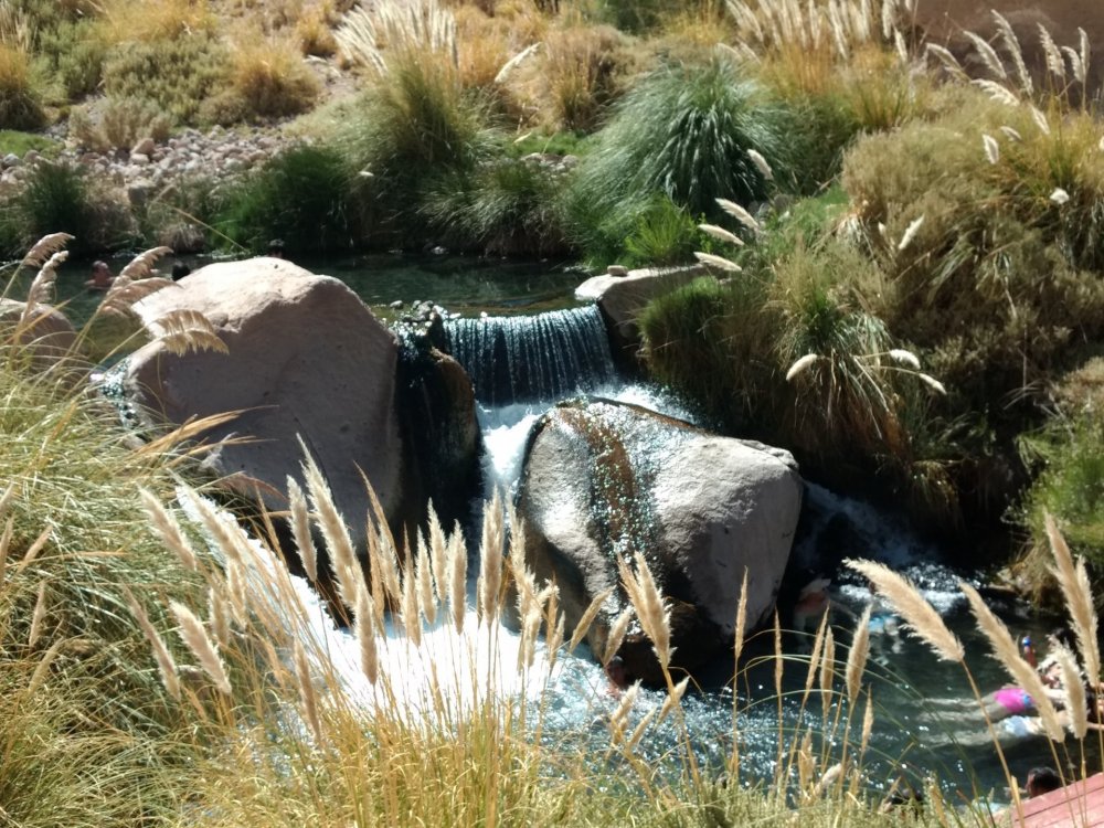 IMG_20180115_110845258 (1).jpg