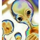 dipode