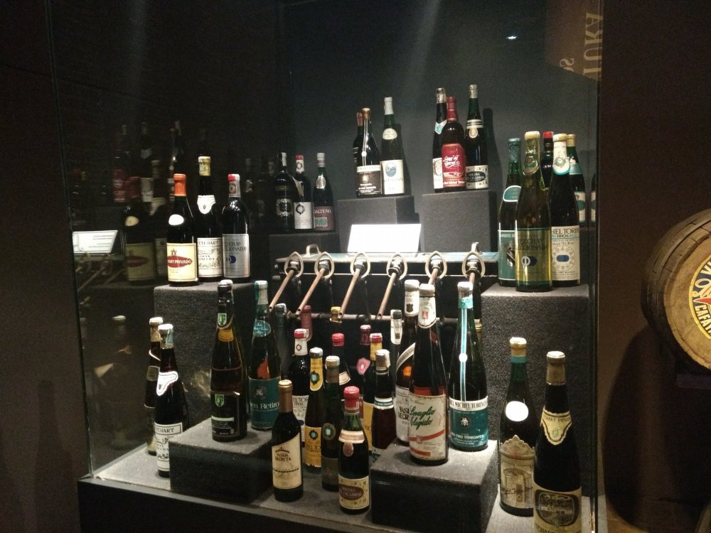 IMG_20180119_100047854 (1).jpg