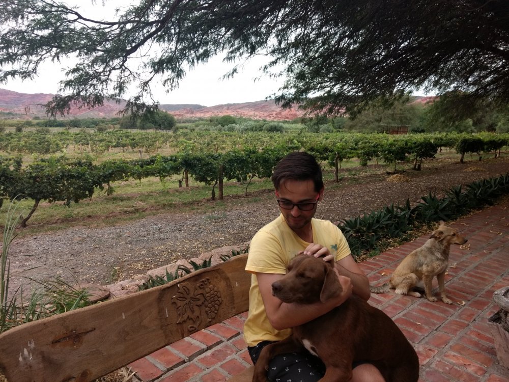 IMG_20180119_155019685 (1).jpg