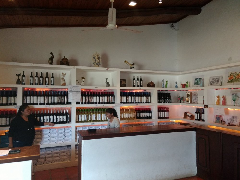 IMG_20180119_164015543 (1).jpg