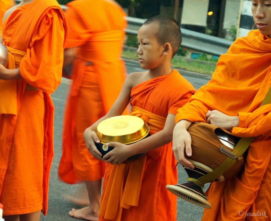 monks offering buddhism chiang mai.JPG