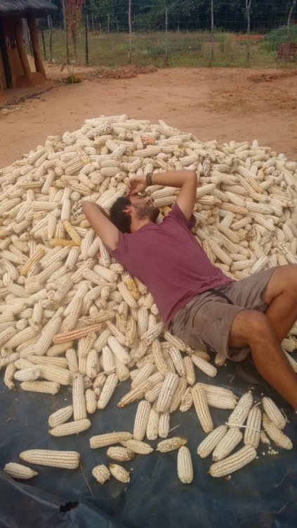 IMG_20161201_193206769 2.jpg