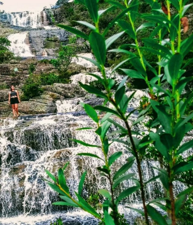 WhatsApp Image 2018-04-06 at 12.12.02.jpeg