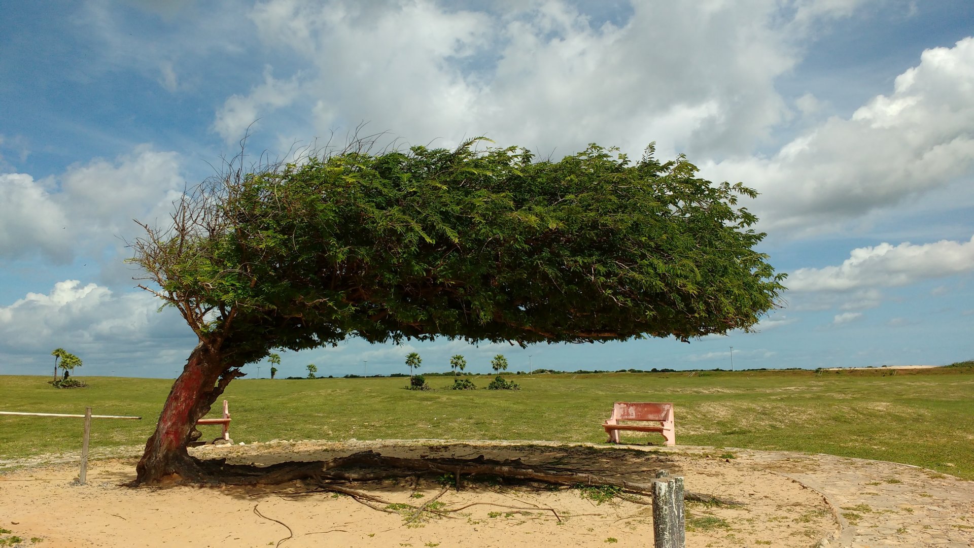 Areia movediça, Delta do rio Parnaiba - Parnaíba PI