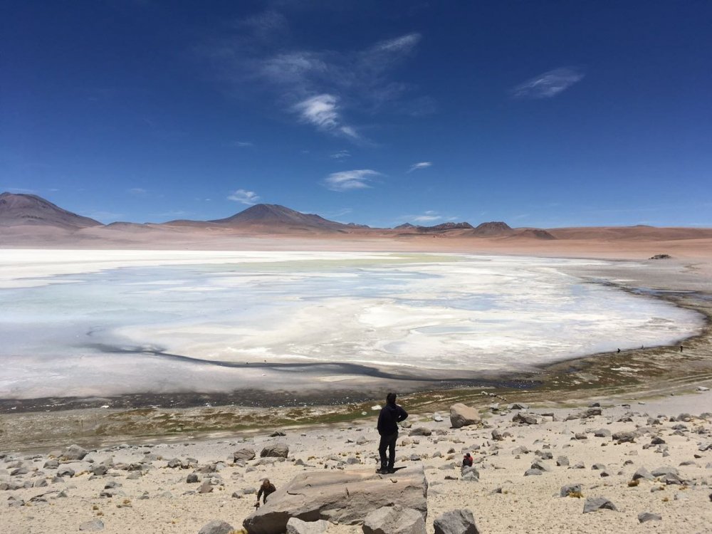 WhatsApp Image 2018-05-15 at 14.38.29.jpeg