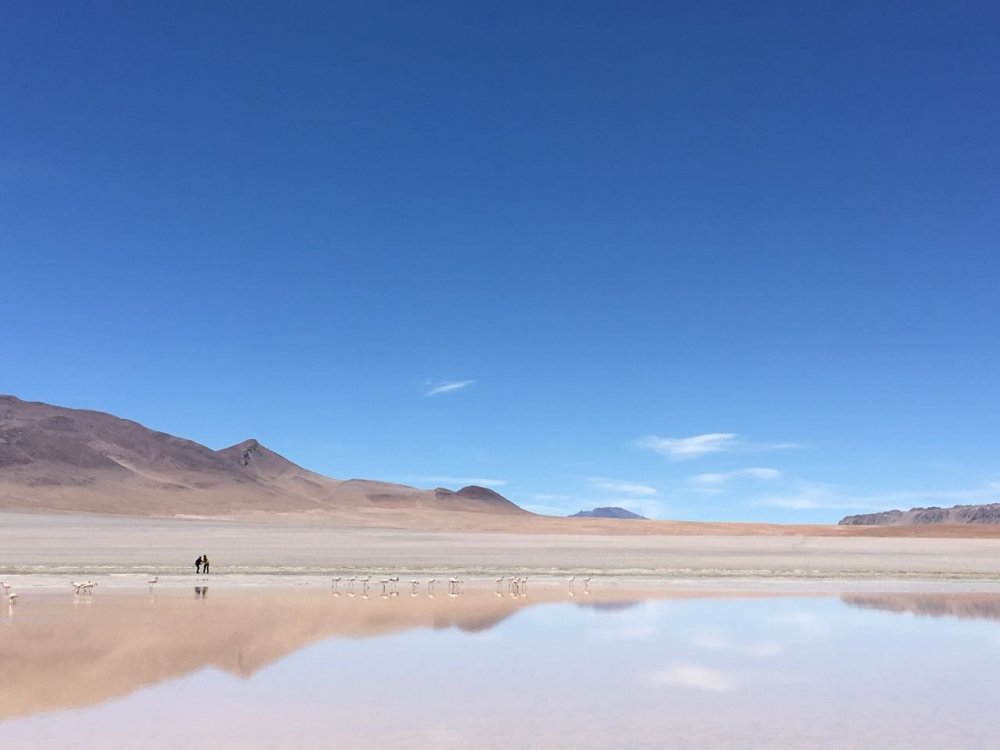 WhatsApp Image 2018-03-31 at 22.50.04.jpeg