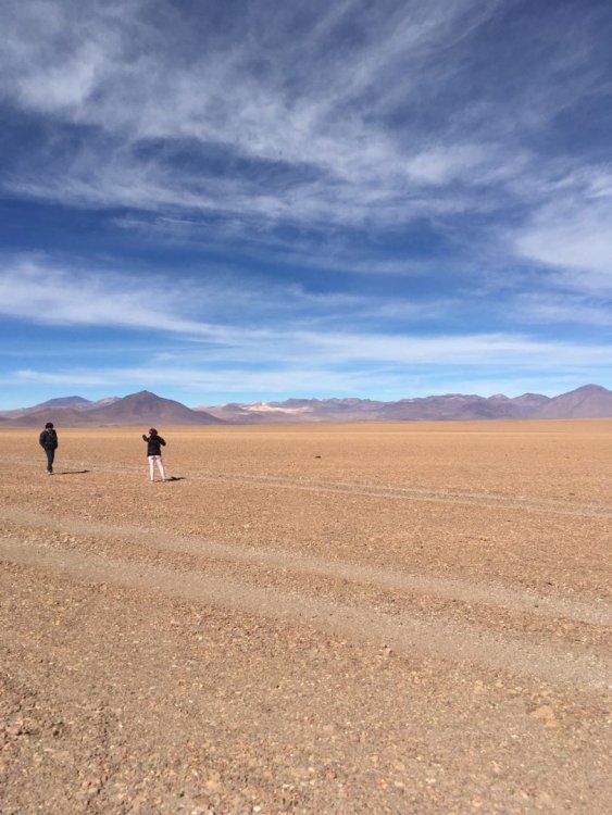 WhatsApp Image 2018-03-31 at 21.02.24.jpeg