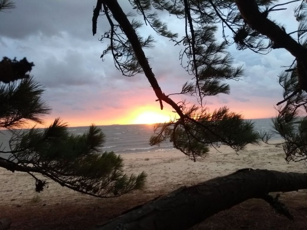 trilha Pontal de Tapes 253.jpg