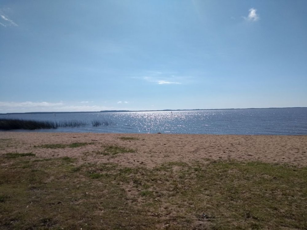 trilha Pontal de Tapes 234.jpg