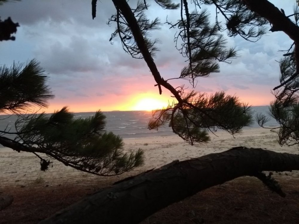 trilha Pontal de Tapes 227.jpg